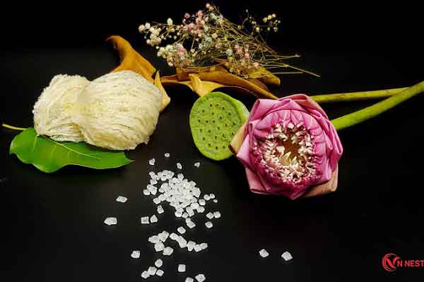 Yến sào – món ăn thượng đỉnh không kén người thưởng thức