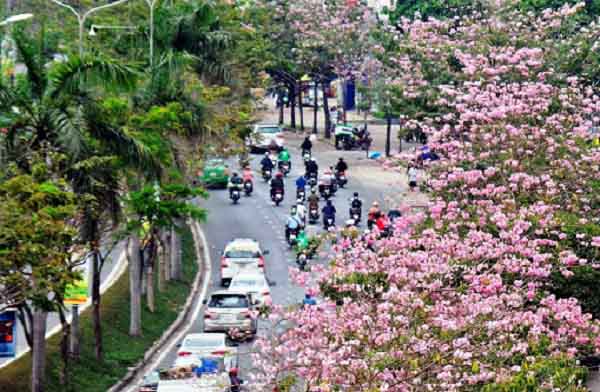 Quê hương là gì hở mẹ? Kỳ 50: Mùi phố