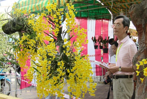 Festival Hoa lan 2019 gắn kết phát triển nông nghiệp và du lịch