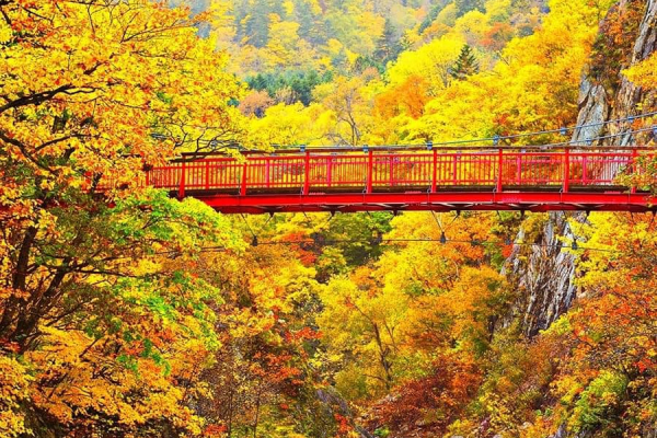 Khám phá nơi đầu tiên nhìn thấy sắc thu của Nhật Bản