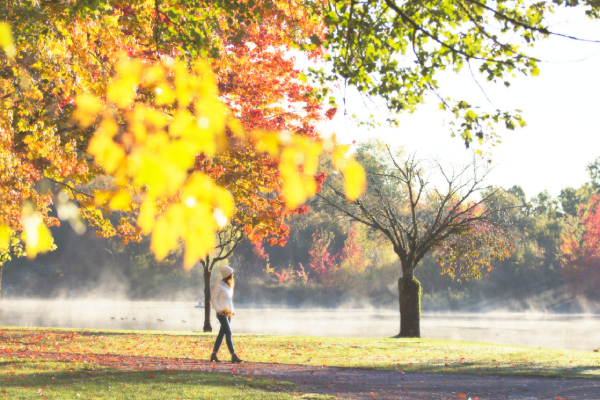 Thổn thức với mùa thu thành phố biển Vancouver