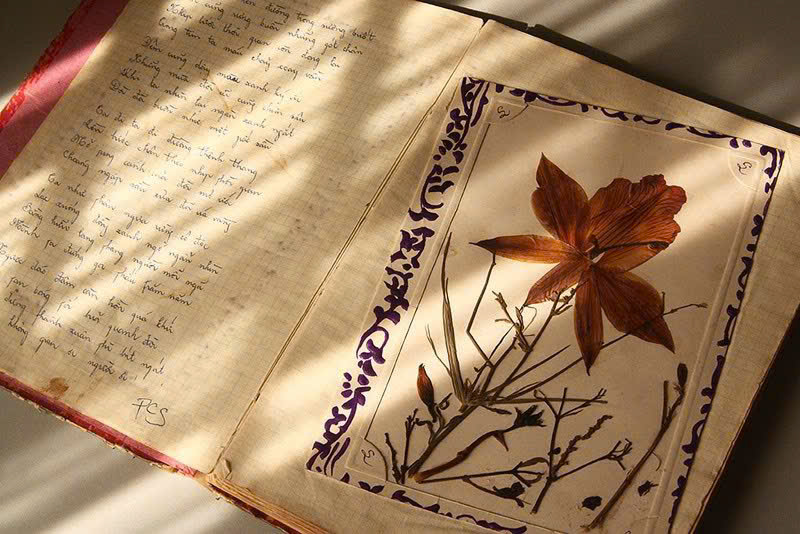 Thương sao những dòng lưu bút