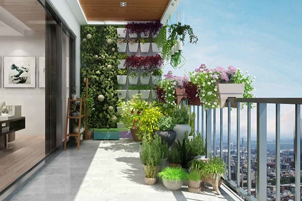 Nhiều người vỡ mộng vì làm vườn trên ban công chung cư