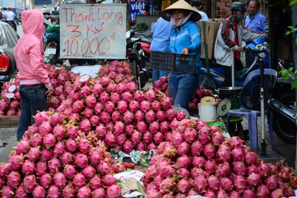 Lòng vòng con đường xuất khẩu nông sản sang Trung Quốc