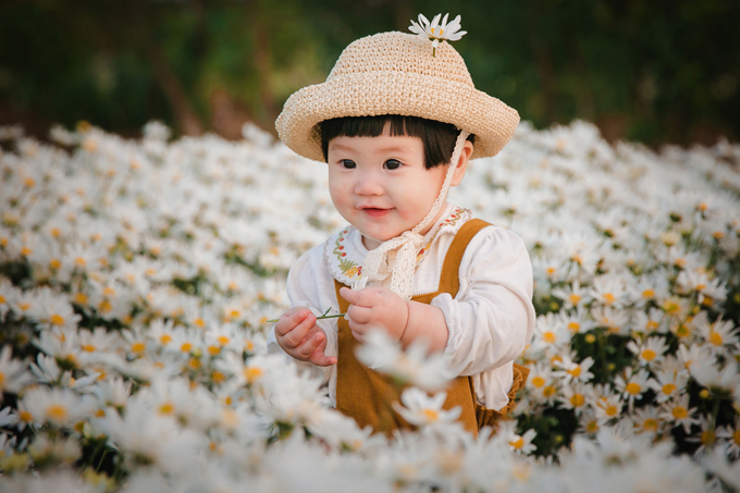 Hình ảnh đáng yêu của một em bé khi chụp hình với cúc họa mi