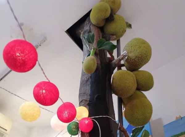 Cây mít sai quả mọc giữa văn phòng, ai cũng muốn xem