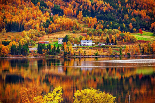  Những trải nghiệm kỳ thú khi đến Na Uy