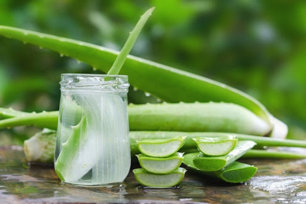 Nha đam – “bảo bối” rẻ tiền chăm sóc da ngày nóng