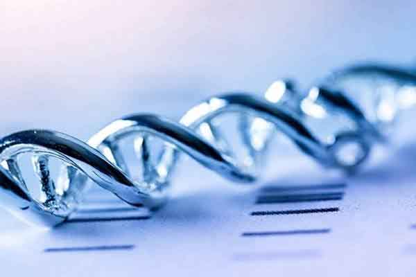 Anh phát triển thành công nhau thai nhân tạo