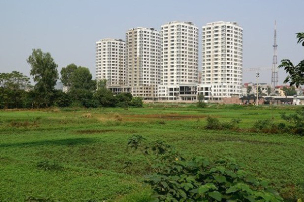 Giá đất nông nghiệp liên tục tăng nóng ở TPHCM và các tỉnh lân cận