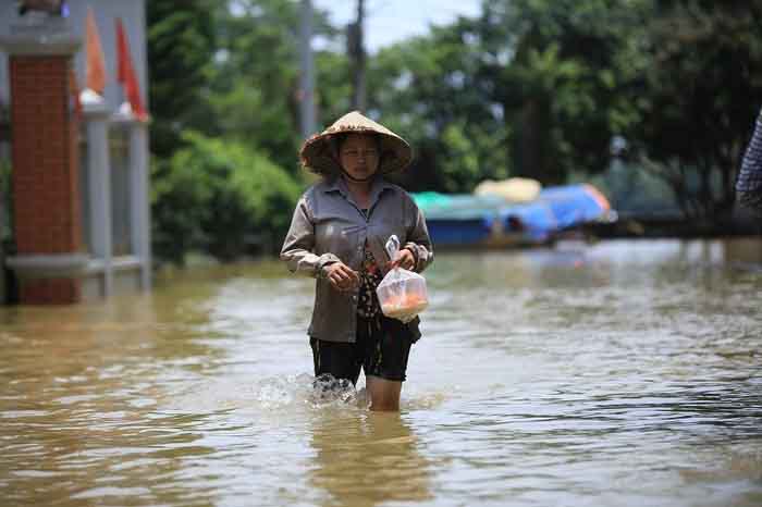 Lưu ý: Sau lũ, cần đề phòng bệnh sốt xuất huyết