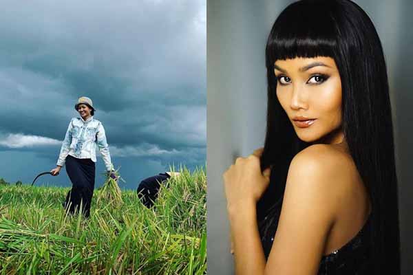 Tạm rời hào quang H’Hen Niê về quê đi cắt lúa