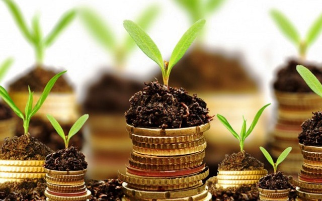 20 ý tưởng kinh doanh nông nghiệp cho lợi nhuận cao nhất (phần 1)