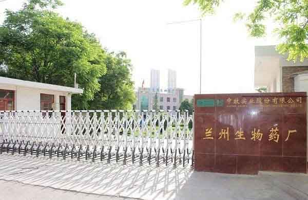 Trung Quốc phát hiện hơn 6.000 người nhiễm brucella