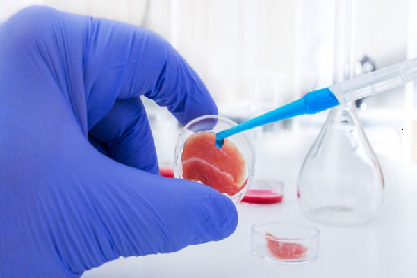 Mỹ kiểm duyệt và cho tiêu thụ thịt nhân tạo nuôi từ phòng thí nghiệm