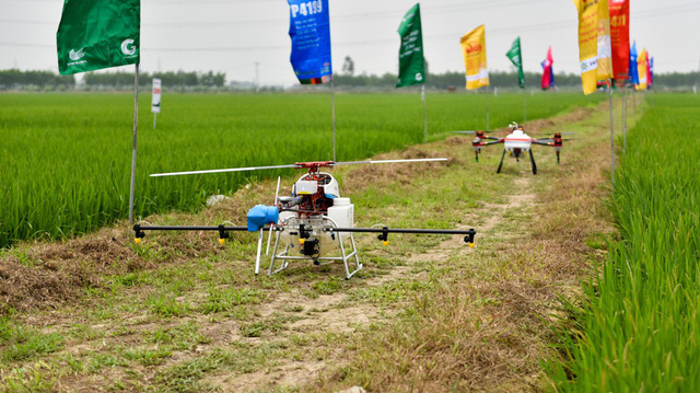 Máy bay phun thuốc không người lái ở Bắc Ninh