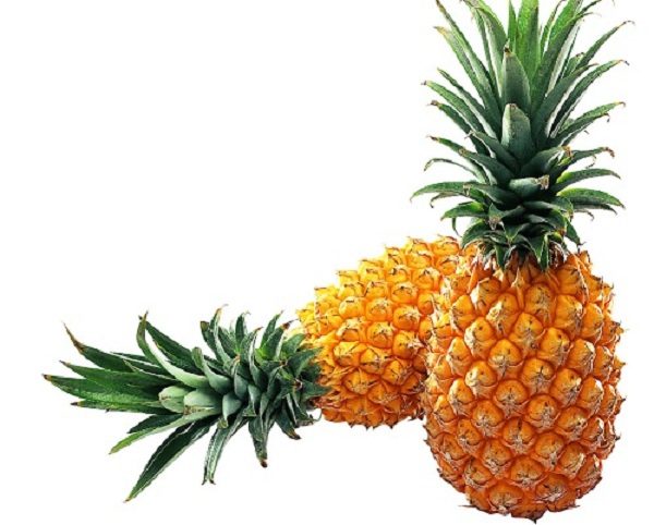 Chữa sỏi thận từ bài thuốc bắt nguồn từ quả dứa