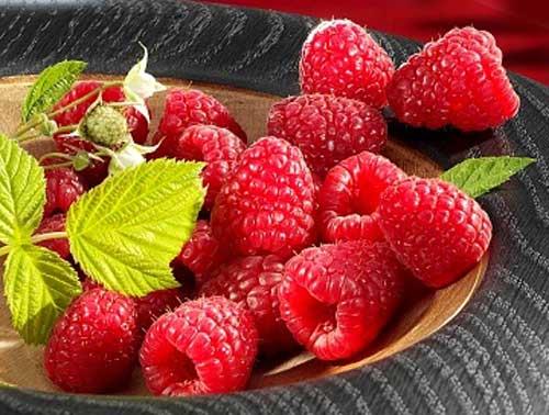 Quả mâm xôi có tác dụng kì diệu với sức khỏe