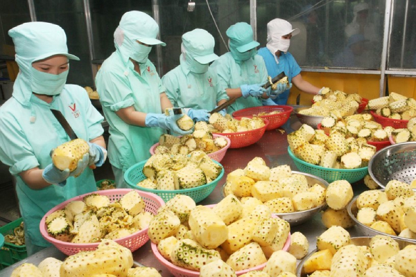 Ngành rau quả đặt mục tiêu xuất khẩu cao gấp 3 lần lúa gạo