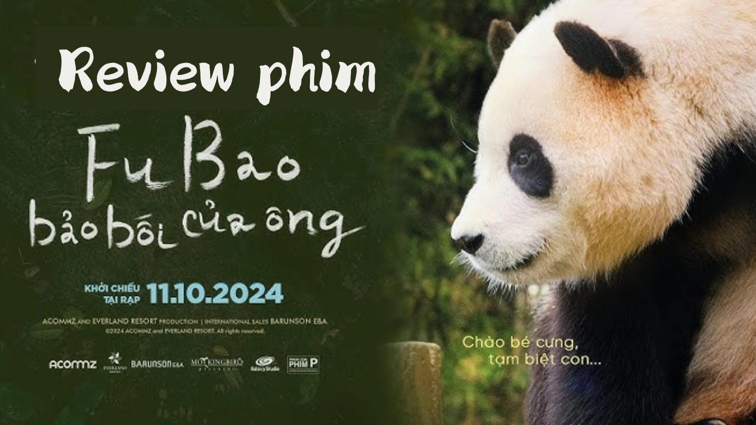 Fubao: Bảo bối của ông – Chân thực, xúc động và gần gũi