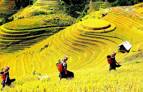 Tháng 10 hãy hẹn với Sapa