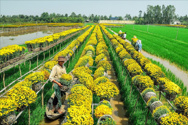 Làng nghề truyền thống lo lắng chờ Tết đến