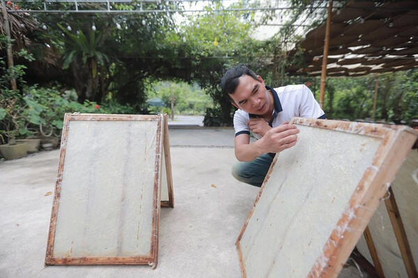 Làm giấy từ đài sen – Ý tưởng độc đáo của người Việt