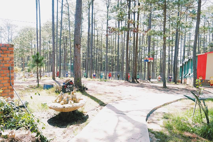 Zoodoo – Muốn tham quan phải canh giờ