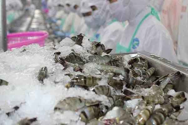 Mặt hàng tỉ USD của Việt Nam lập kỷ lục và những thách thức phía trước