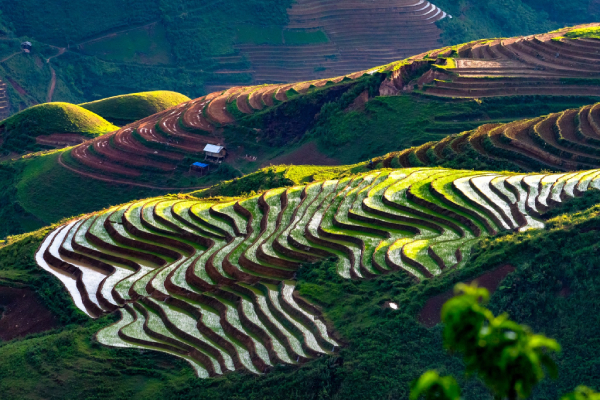 Nhiều tỉnh thu “trái ngọt” nhờ phát triển Du lịch nông nghiệp