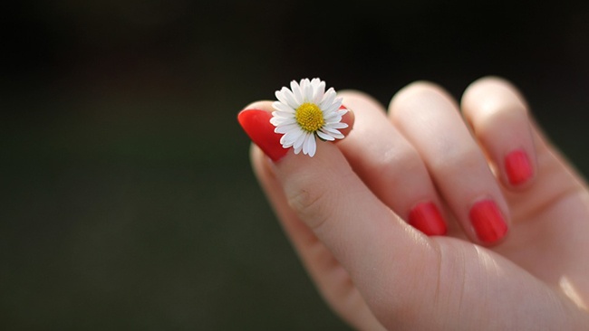 Chăm sóc đôi bàn tay với làn da mềm mại