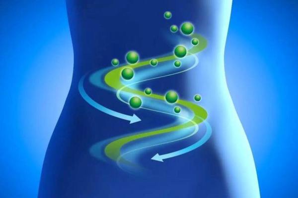 4 loại thực phẩm tốt cho đường ruột giúp giảm mỡ bụng, da sáng hồng