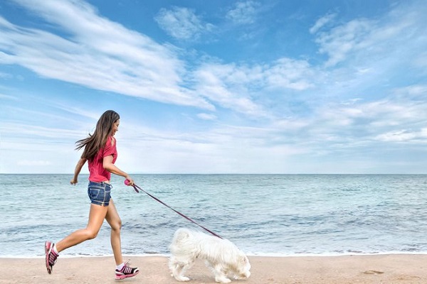 Có nên điều trị trầm cảm bằng cách nuôi thú cưng?