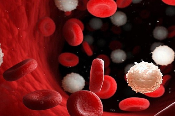 Bệnh nhân ung thư máu cần tránh ăn những loại thực phẩm nào?