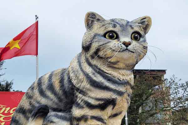 Dân mạng nô nức check in bên “hoa hậu Mèo” gây bão Quảng Trị