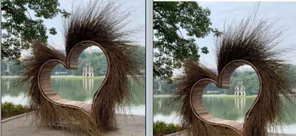 ‘Trái tim lông lá’ bên Hồ Gươm đã được di dời