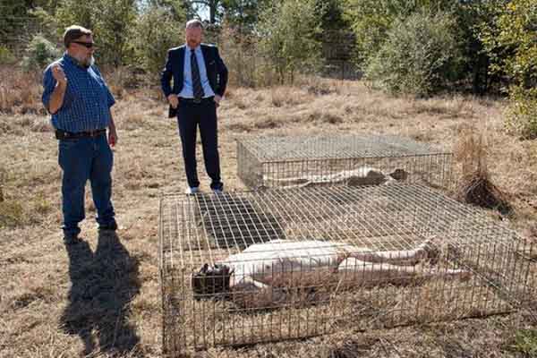 “Trang trại tử thi” sẽ có ở nước Anh để phục vụ ngành pháp y
