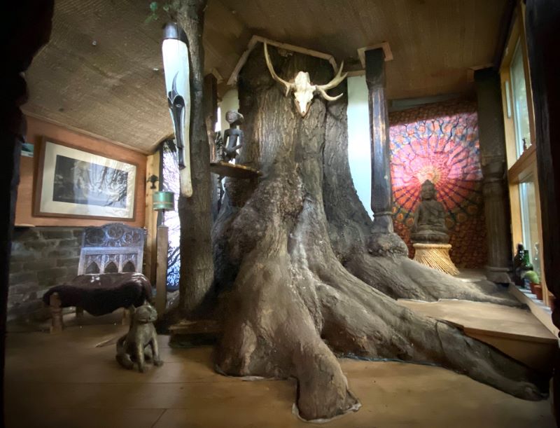 treehouse_3_26920