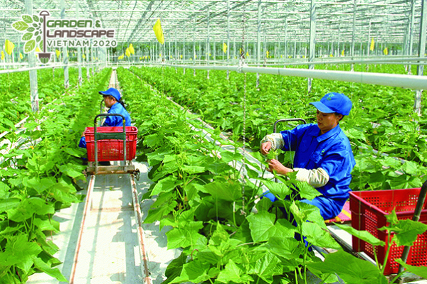 Thành phố tổ chức Chương trình Tết Nghĩa Tình cho nông dân