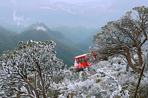 Du khách Việt chuộng Đà Lạt và Sapa cho mùa Tết