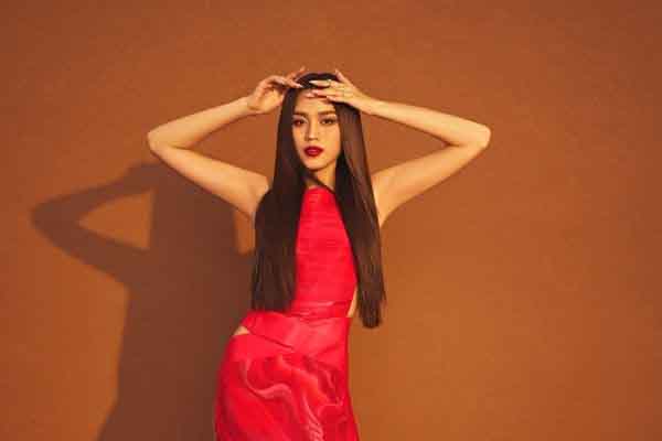 Nhan sắc cuối nhiệm kỳ của Đỗ Hà khiến nhiều netizen tiếc nuối