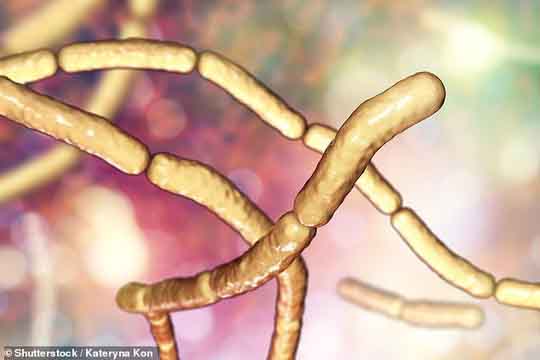 Hãy cảnh giác với loại vi khuẩn này