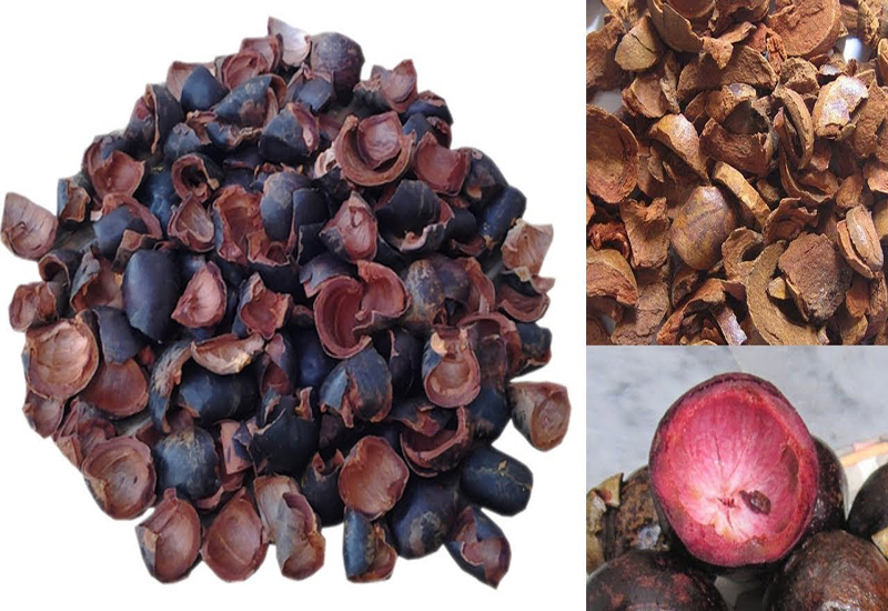 Phát hiện thú vị: Vỏ măng cụt chữa được một số bệnh