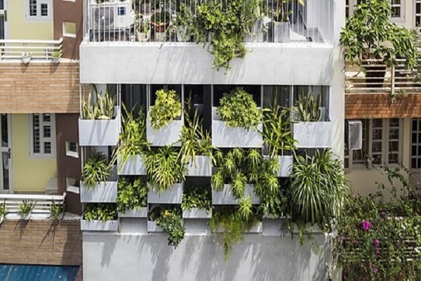 Vườn treo – Giải pháp chống nóng cho nhà hướng Tây