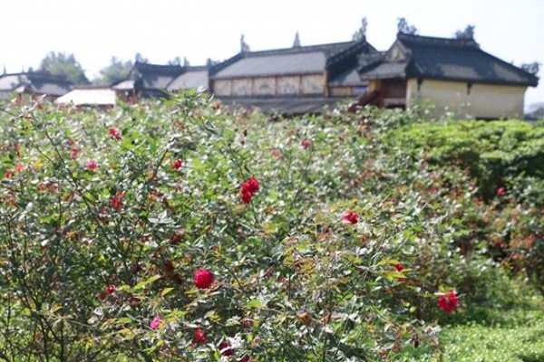 Mê mẩn vườn hoa của Nam Phương hoàng hậu trong kinh thành Huế