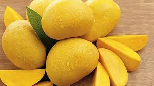 Xoài Việt sắp có mặt ở thị trường Mỹ