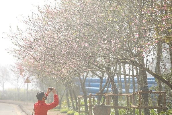 Những điểm đến không thể bỏ qua trong hành trình du xuân miền Bắc