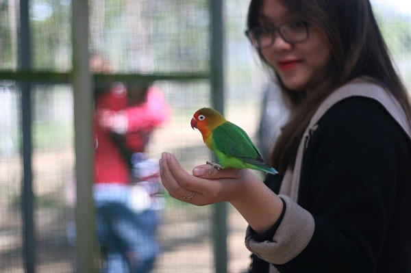 Những con thú hạnh phúc ở Zoodoo