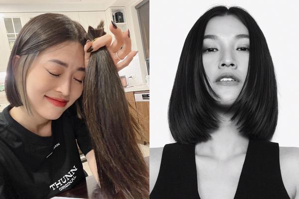 Những lần mỹ nhân Việt xuống tóc vì nghĩa cử cao đẹp