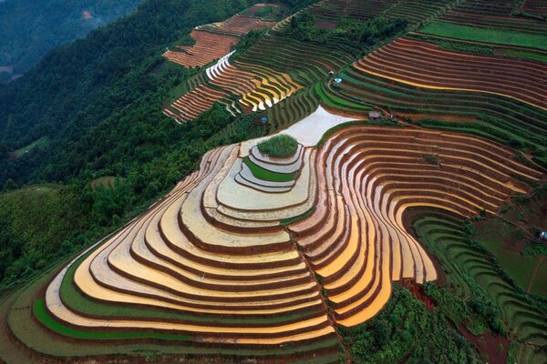 Những thửa ruộng bậc thang trơ trụi vì nắng nóng, du khách ngại đến check-in